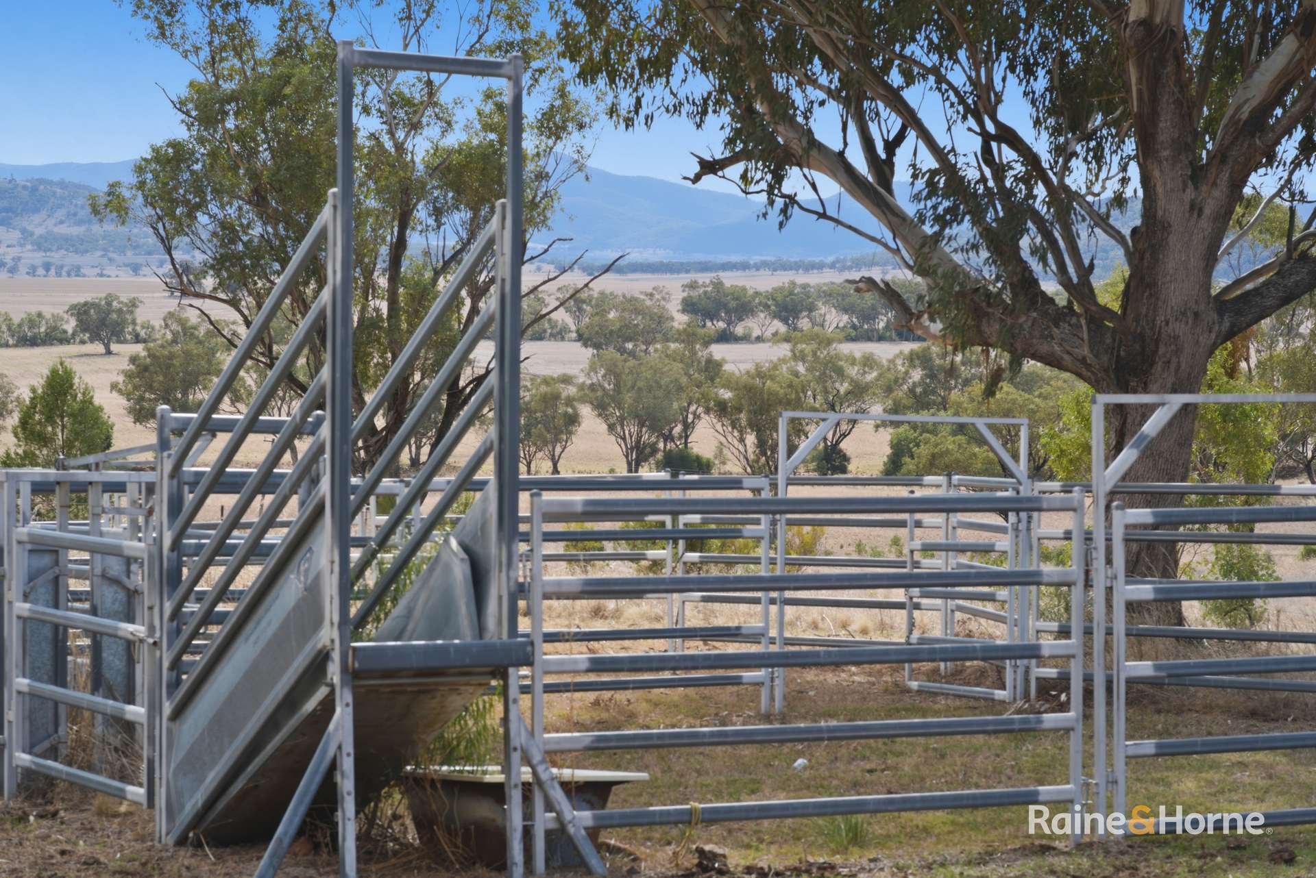 1007 Barnbrook Road, Werris Creek Auction by Farmbuy.com - image 12
