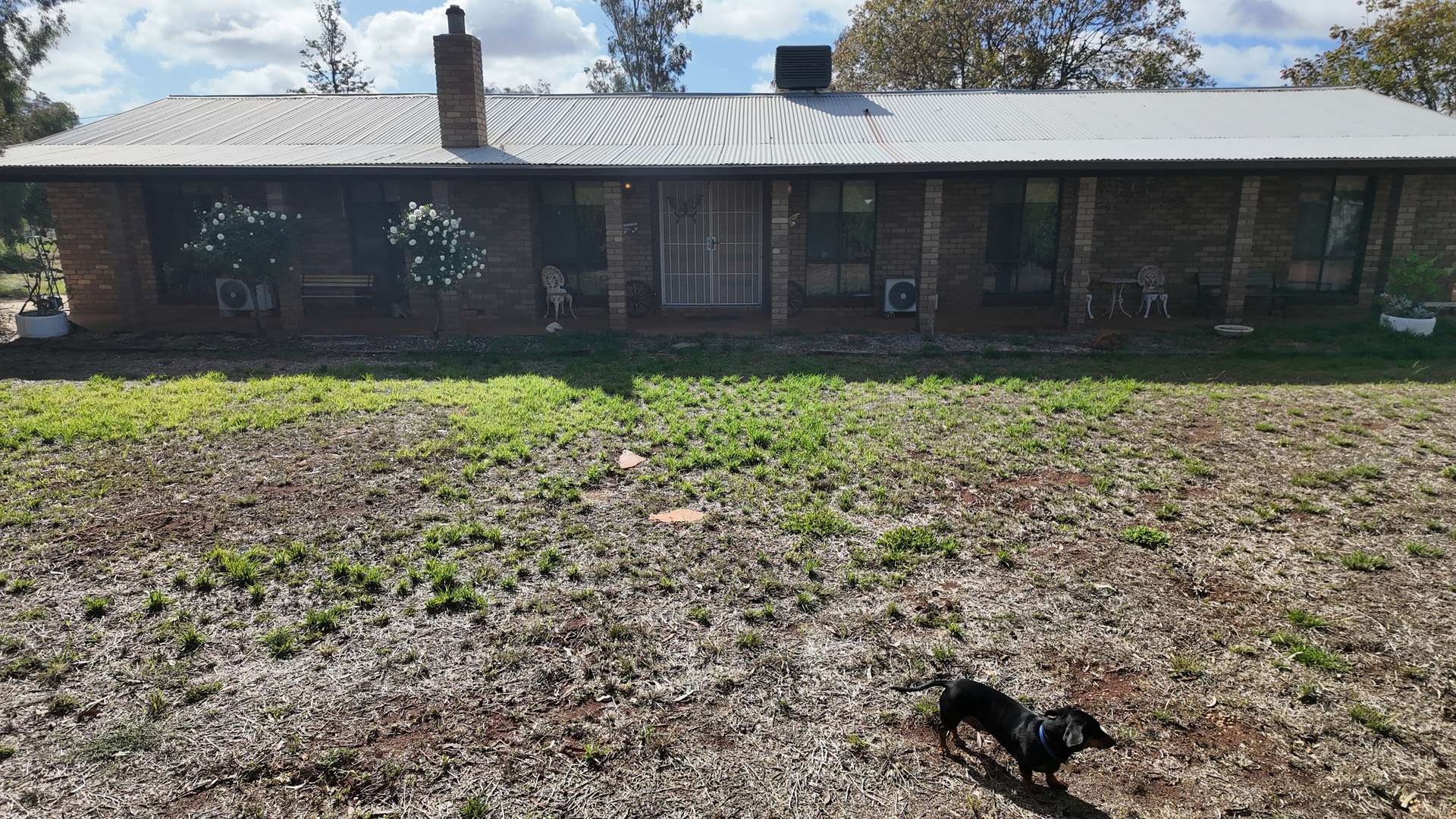 5 Bomen Street, Goolgowi For Sale by Farmbuy.com - image 3