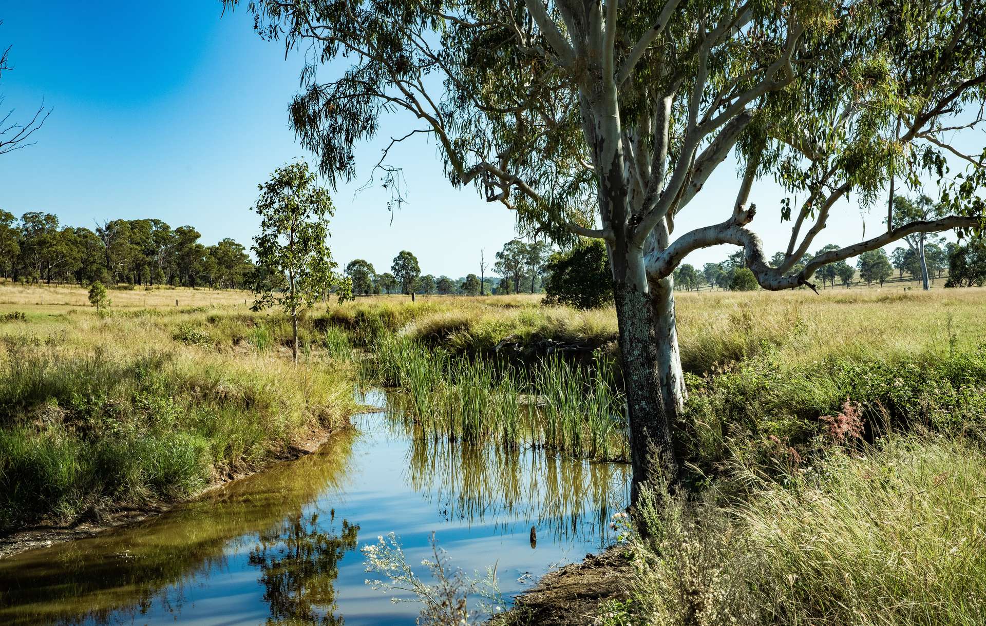 130 Tuites Lane, Biarra For Sale by Farmbuy.com - image 22