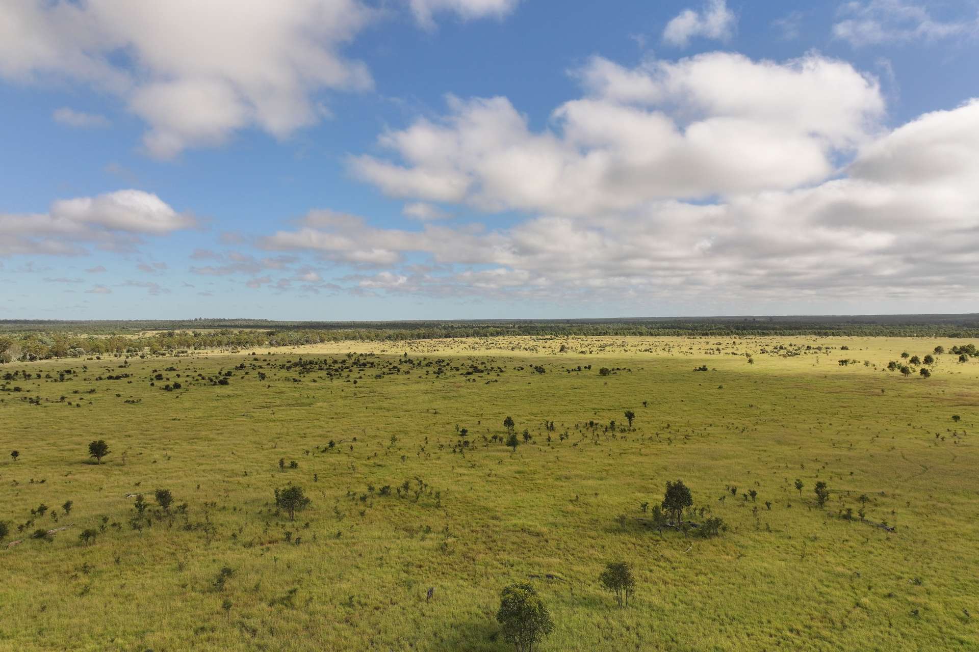 5074 Alpha Tambo Road, Alpha Auction by Farmbuy.com - image 1