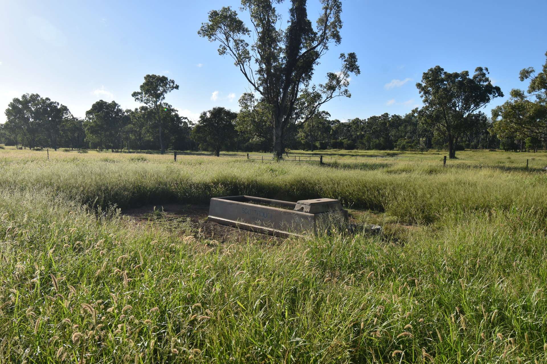5074 Alpha Tambo Road, Alpha Auction by Farmbuy.com - image 7