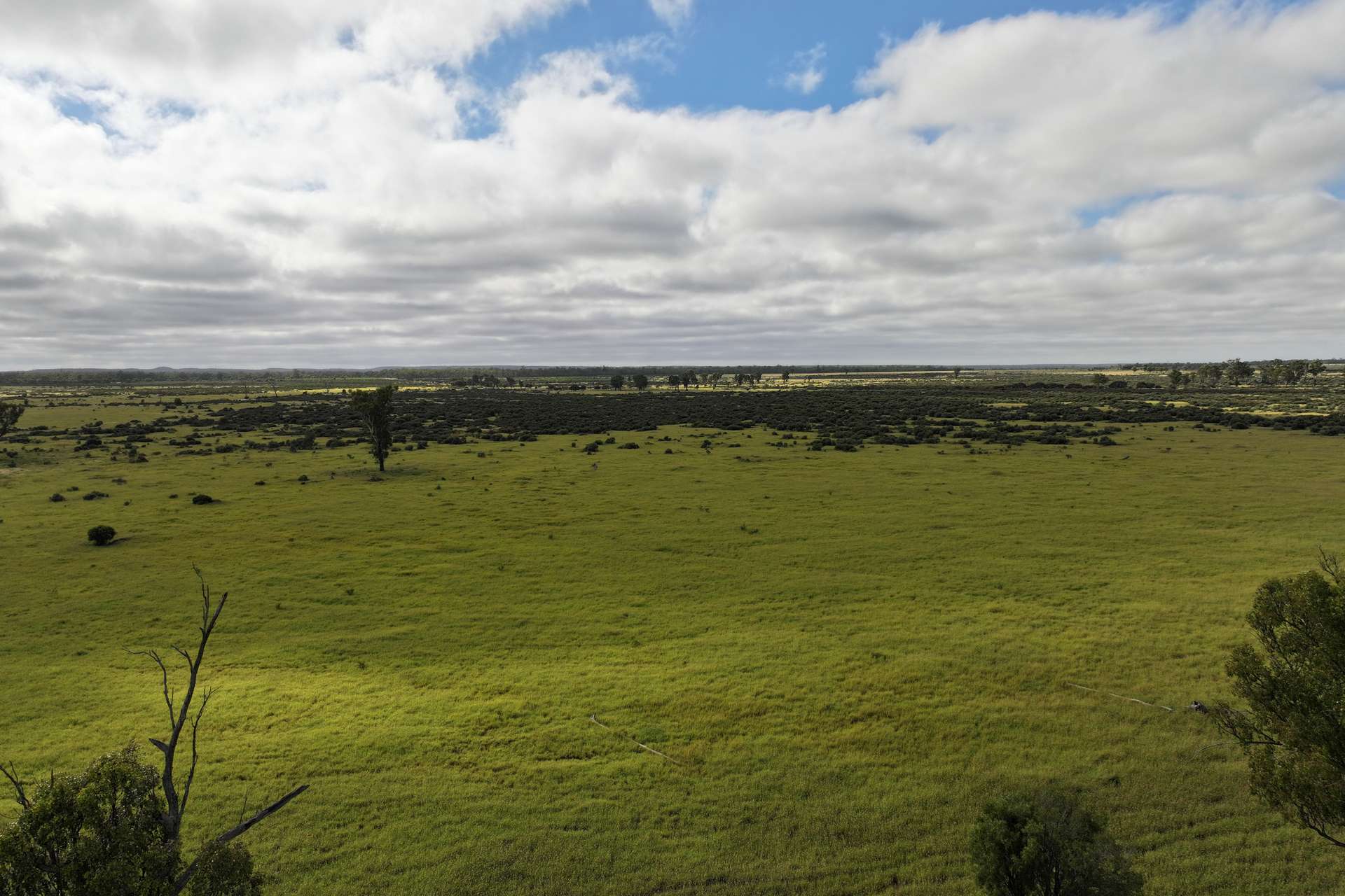 5074 Alpha Tambo Road, Alpha Auction by Farmbuy.com - image 2
