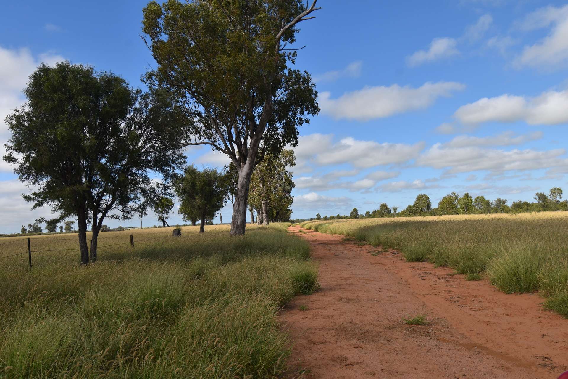 5074 Alpha Tambo Road, Alpha Auction by Farmbuy.com - image 11