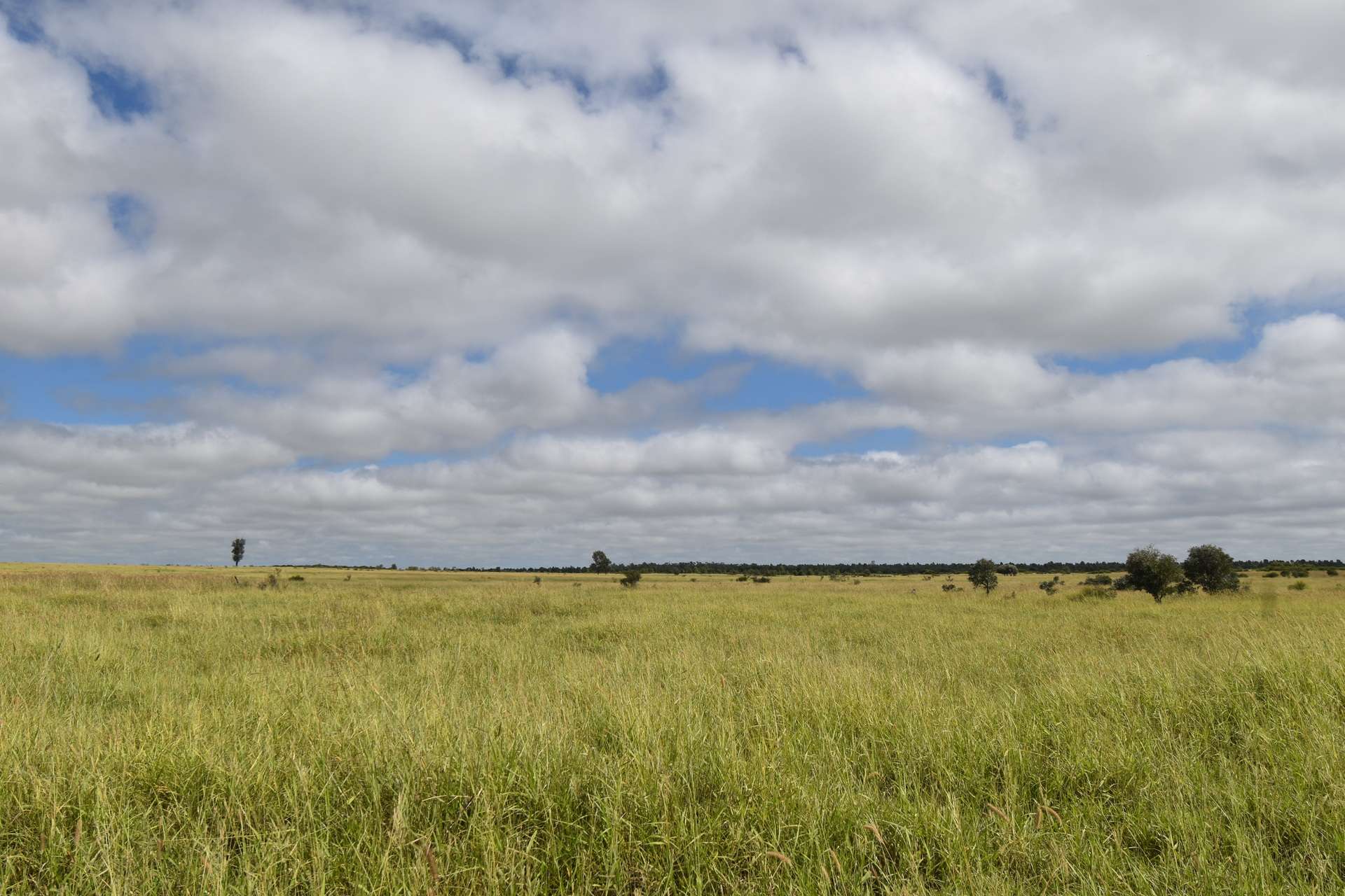 5074 Alpha Tambo Road, Alpha Auction by Farmbuy.com - image 12