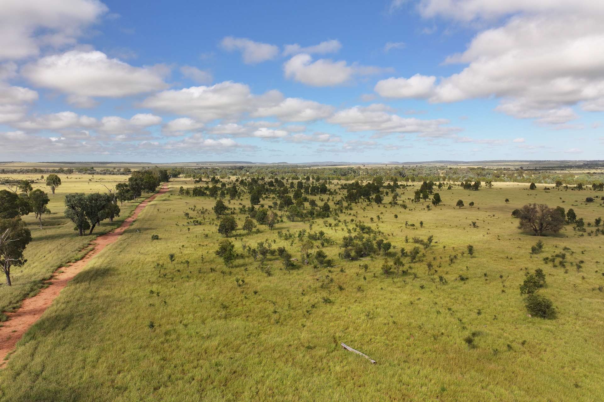 5074 Alpha Tambo Road, Alpha Auction by Farmbuy.com - image 3
